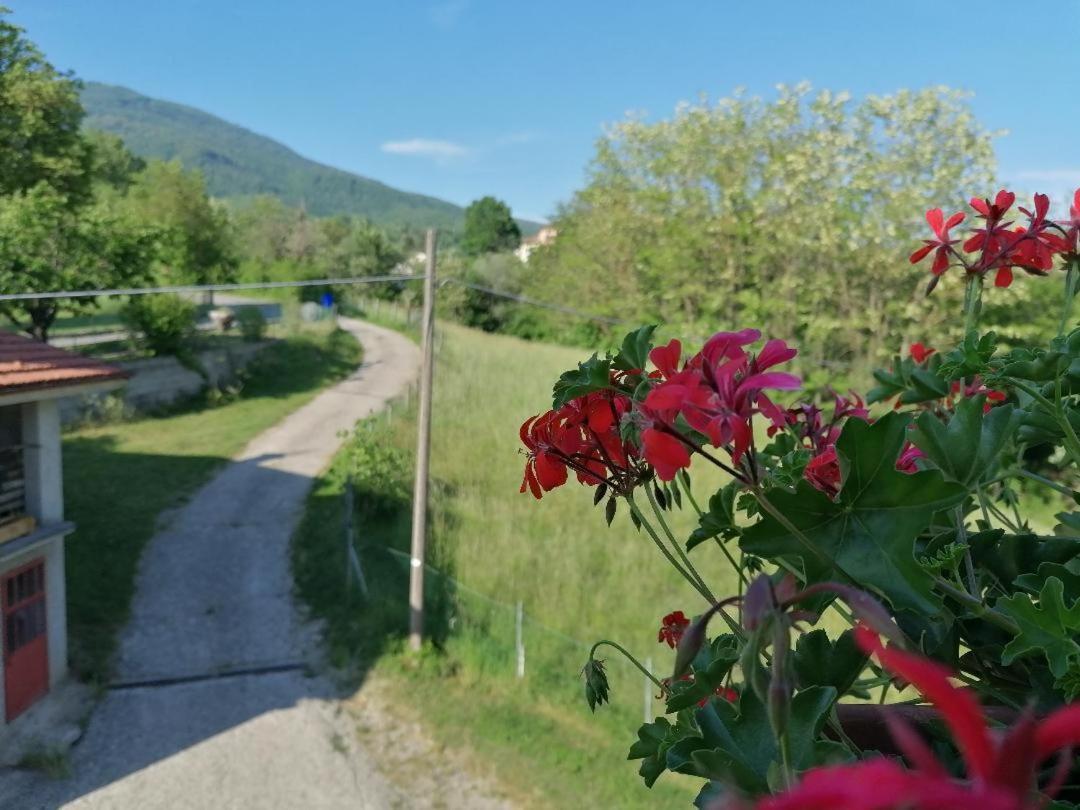 La Soffitta Di Anita Villa Bedonia Dış mekan fotoğraf